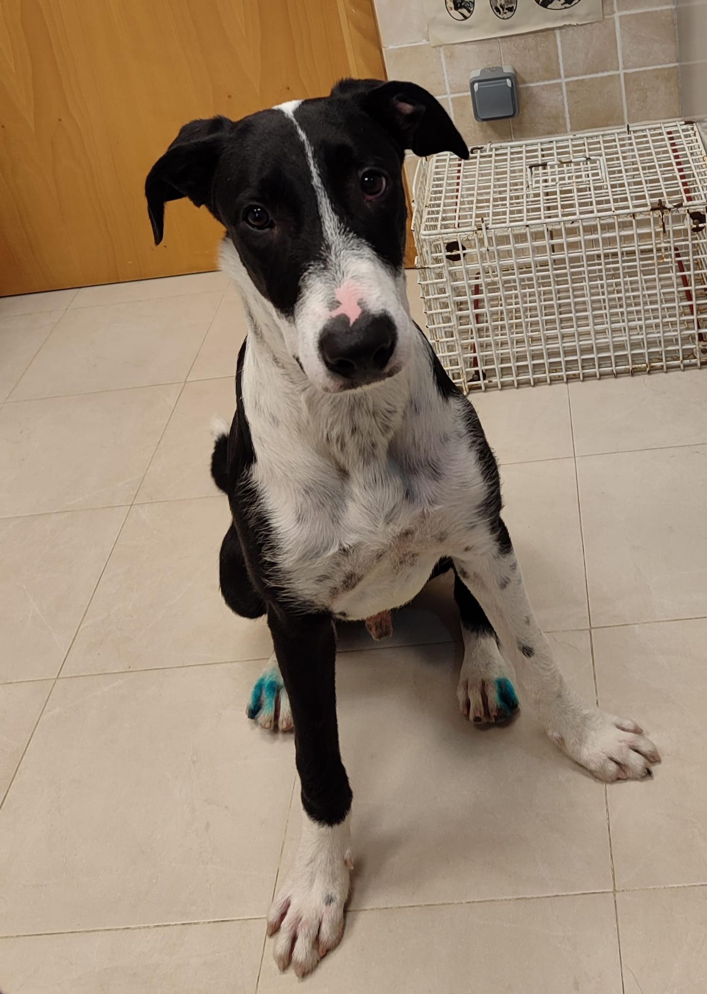 <h3 style="color:#005b98"> Fotografía </h3>