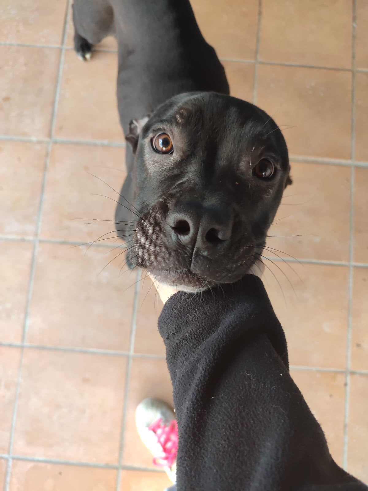 <h3 style="color:#005b98"> Fotografía </h3>