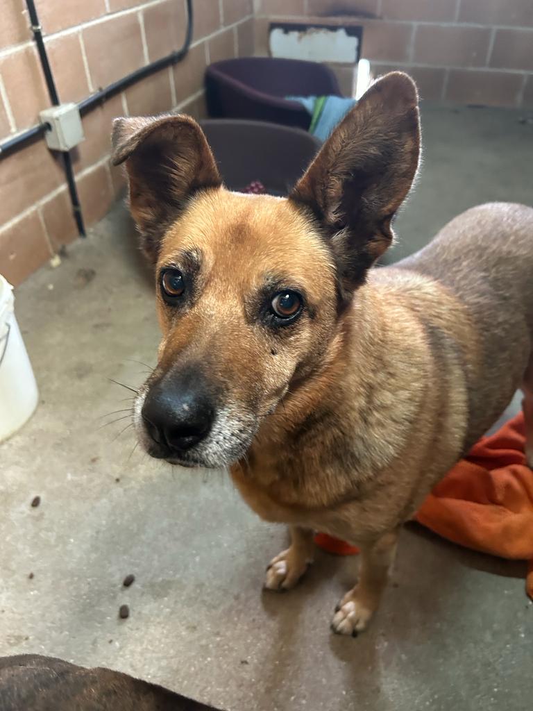 <h3 style="color:#005b98"> Fotografía </h3>