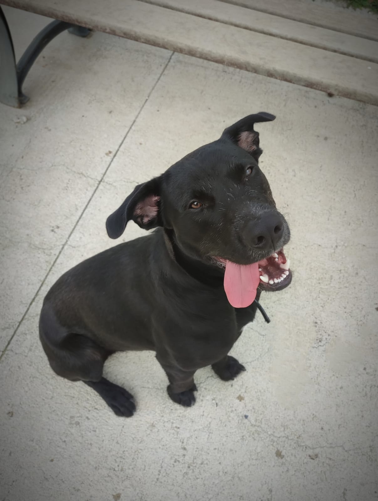 <h3 style="color:#005b98"> Fotografía </h3>