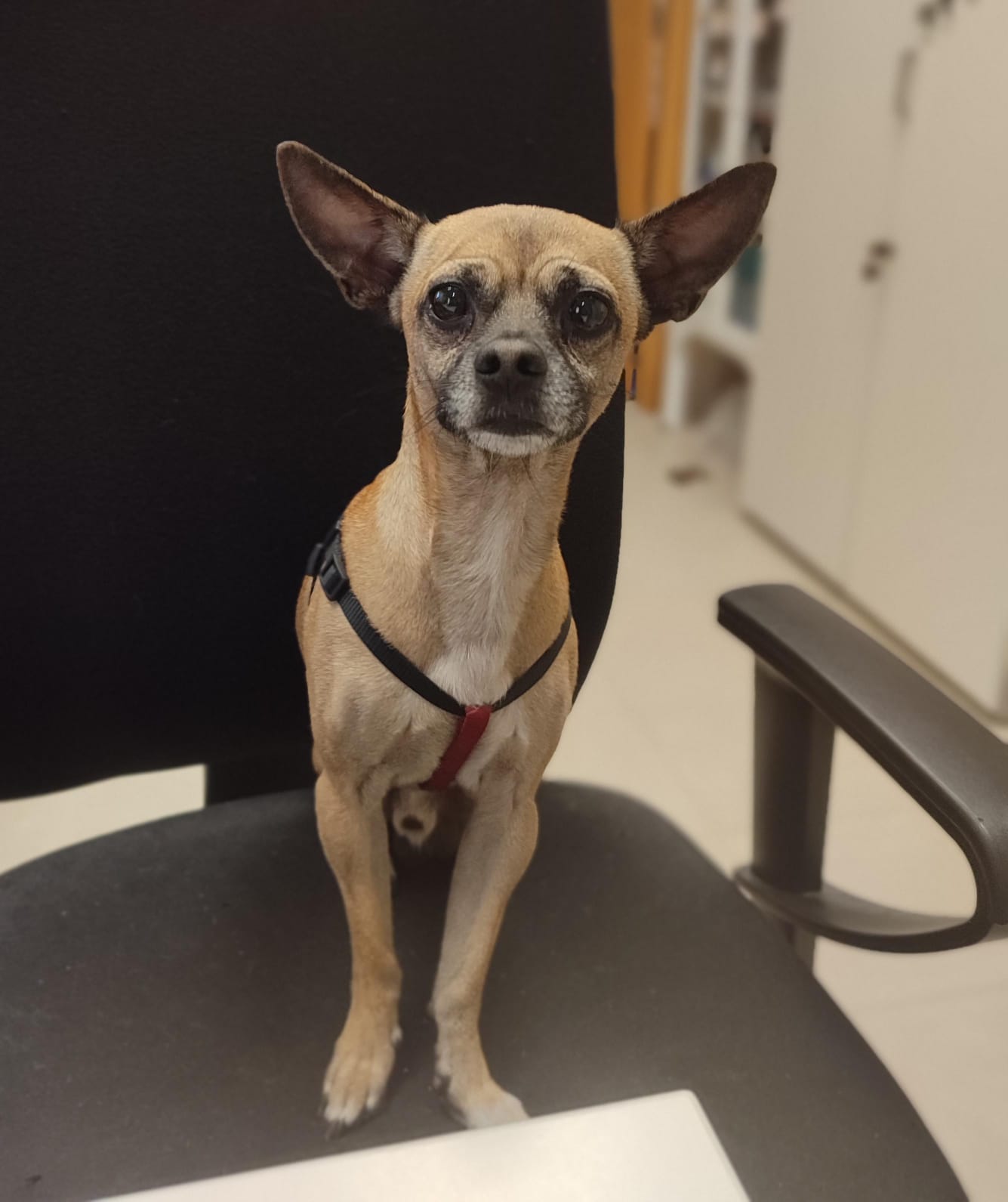 <h3 style="color:#005b98"> Fotografía </h3>