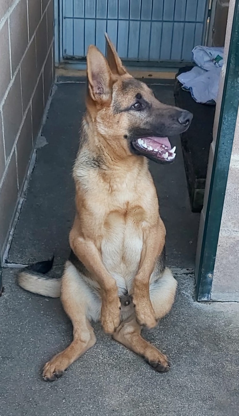 <h3 style="color:#005b98"> Fotografía </h3>