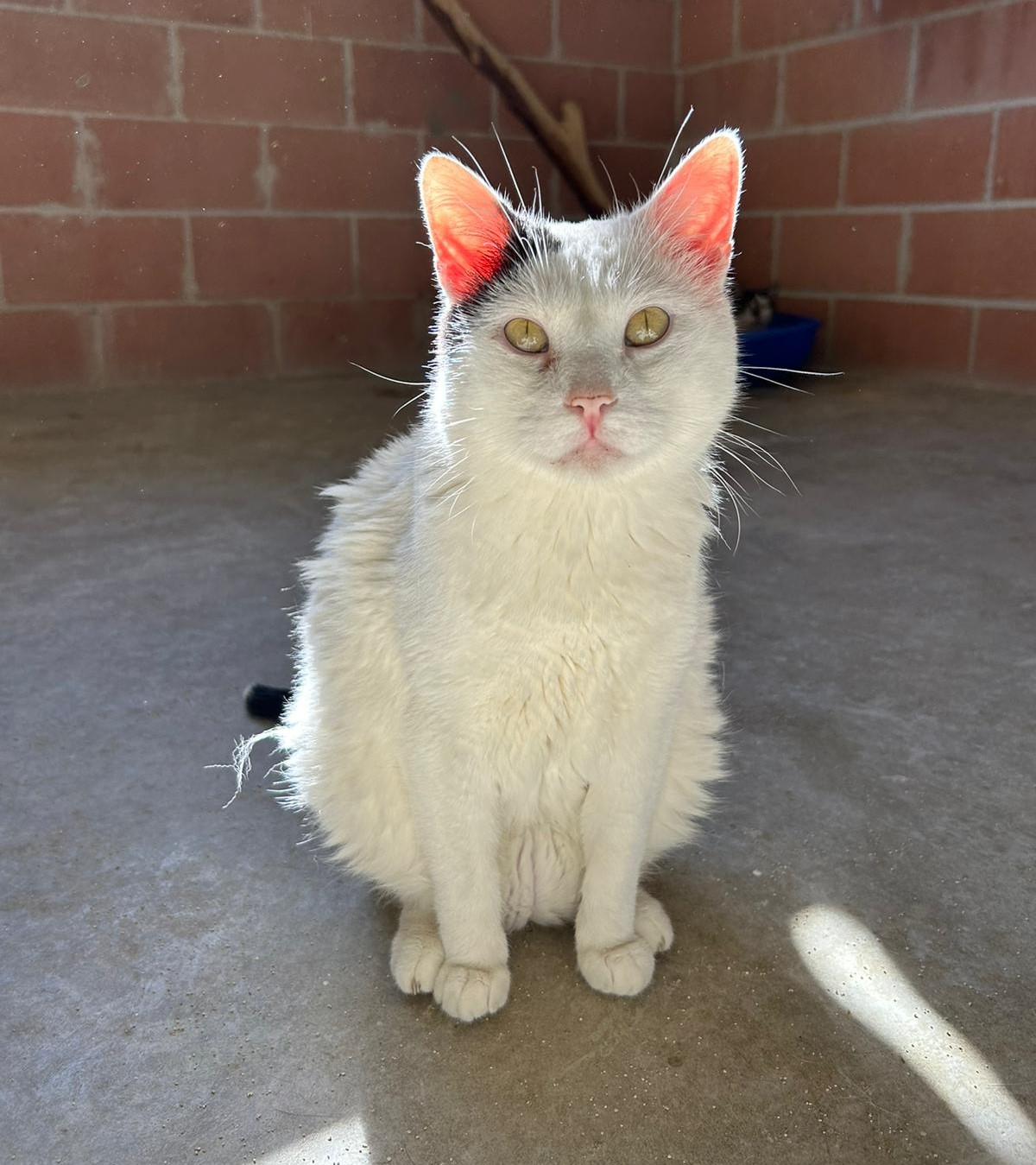 <h3 style="color:#005b98"> Fotografía </h3>