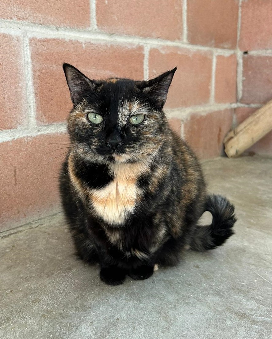 <h3 style="color:#005b98"> Fotografía </h3>