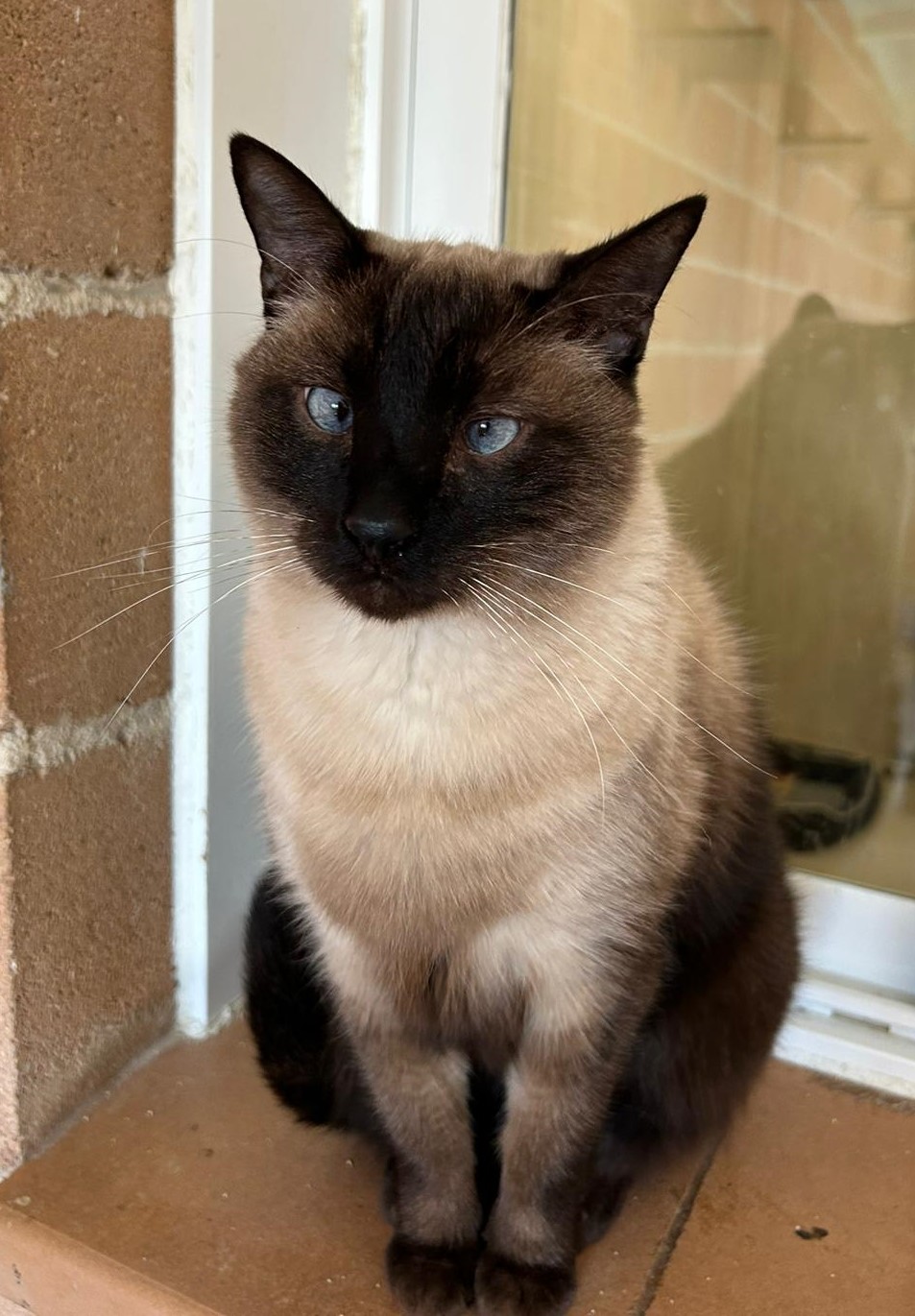 <h3 style="color:#005b98"> Fotografía </h3>