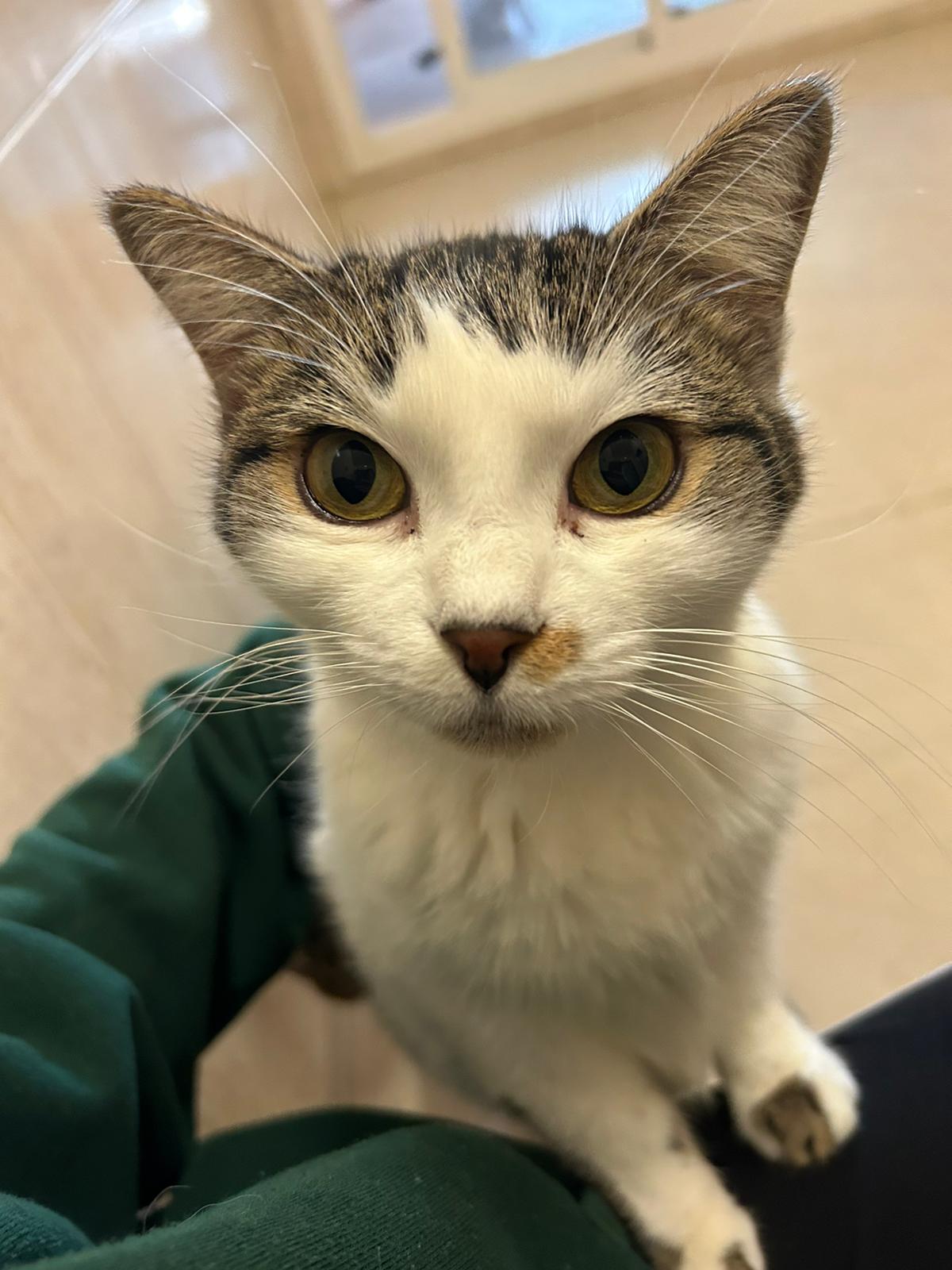 <h3 style="color:#005b98"> Fotografía </h3>