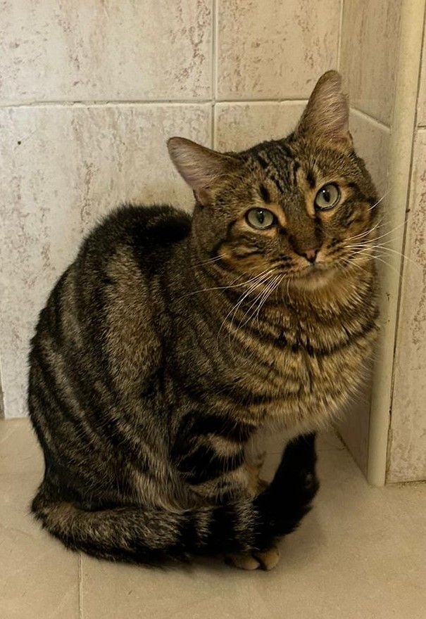 <h3 style="color:#005b98"> Fotografía </h3>