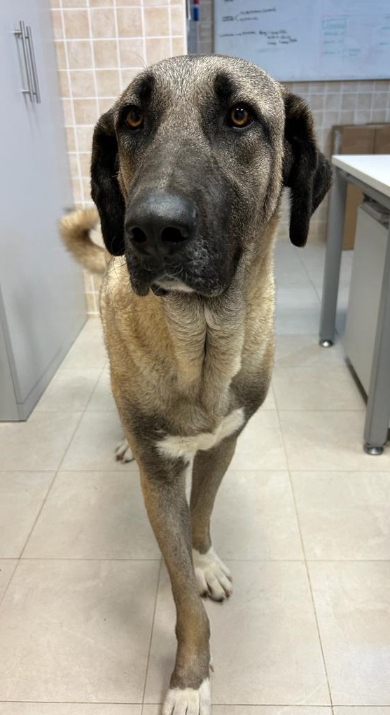 <h3 style="color:#005b98"> Fotografía </h3>