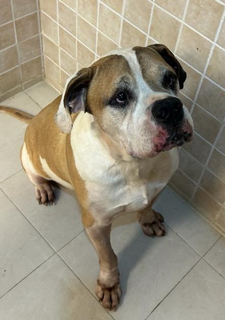 <h3 style="color:#005b98"> Fotografía </h3>