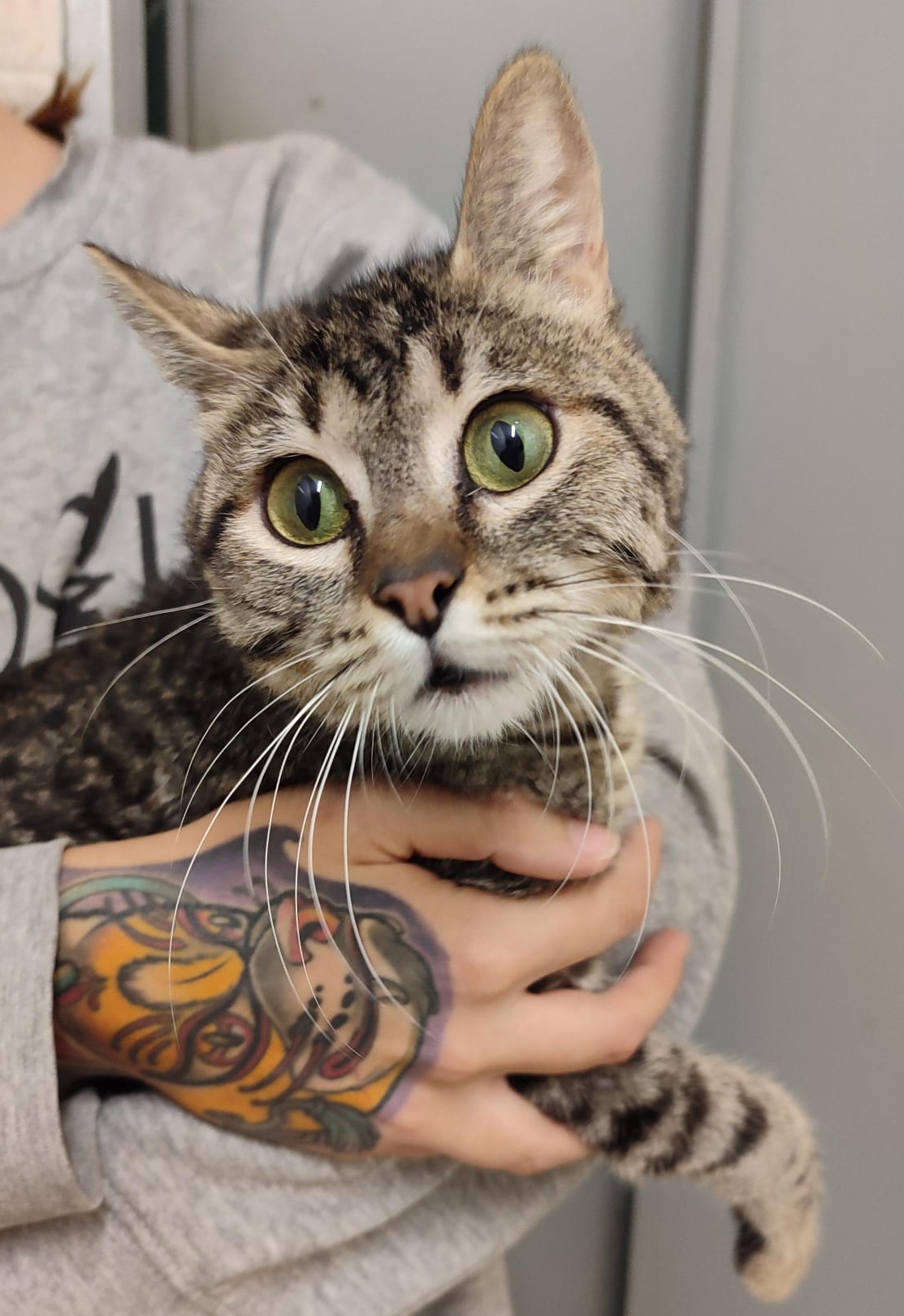 <h3 style="color:#005b98"> Fotografía </h3>