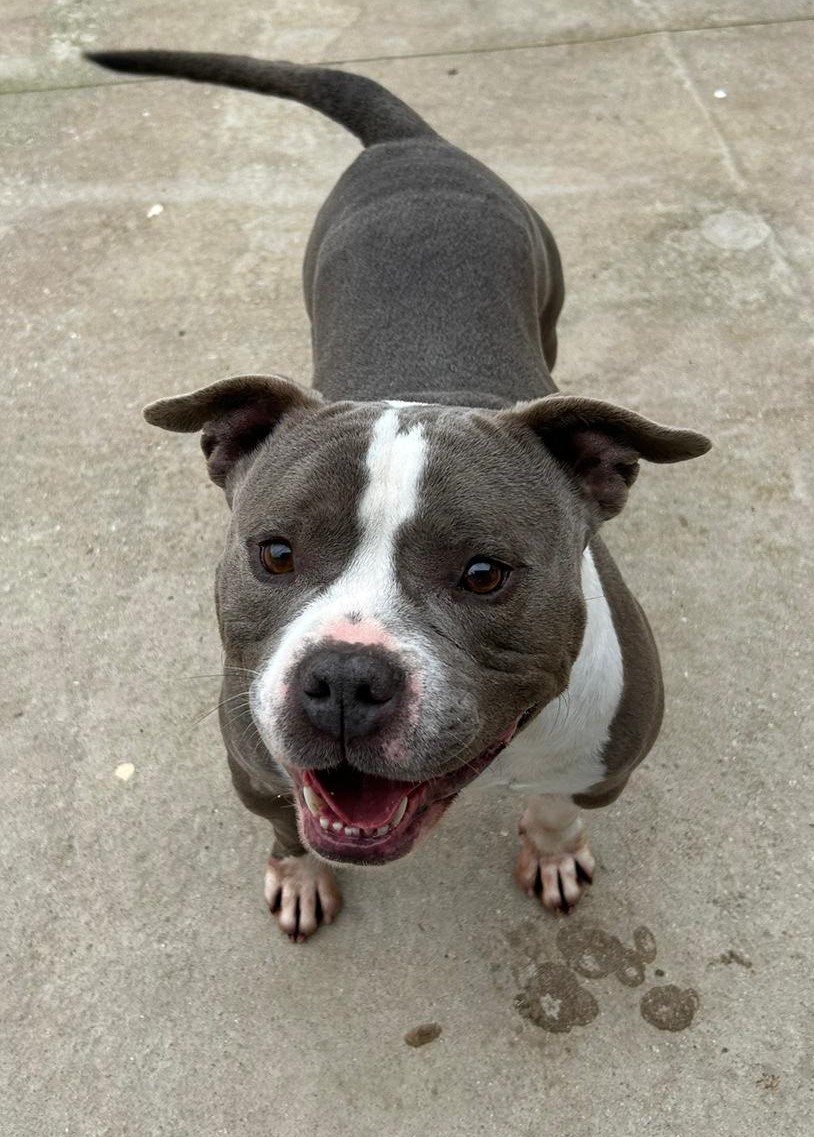 <h3 style="color:#005b98"> Fotografía </h3>