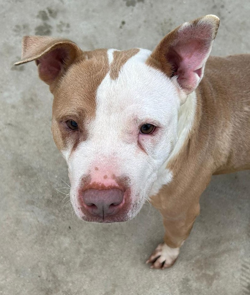 <h3 style="color:#005b98"> Fotografía </h3>