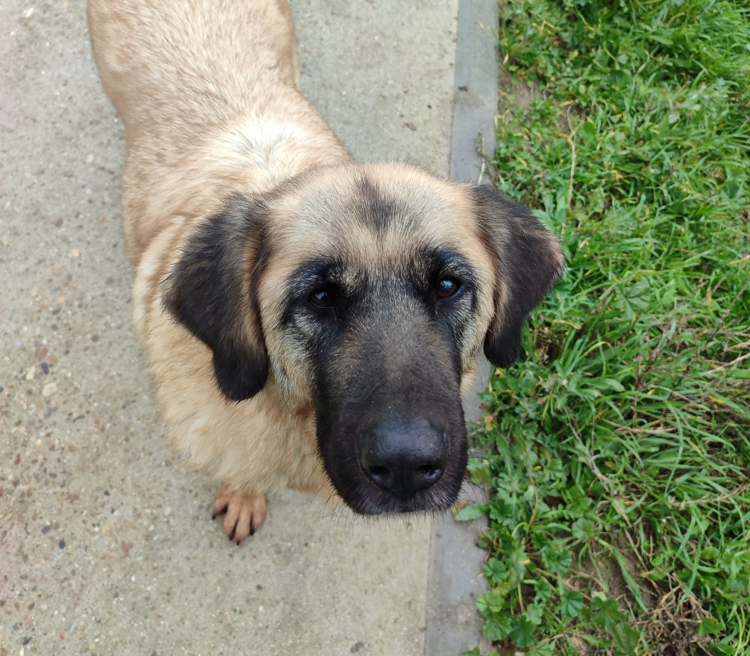 <h3 style="color:#005b98"> Fotografía </h3>