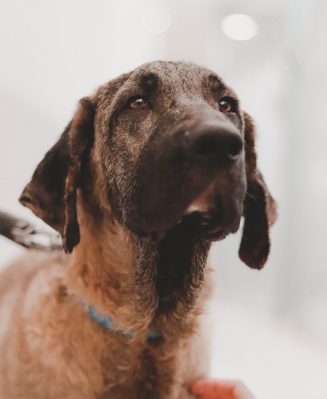 <h3 style="color:#005b98"> Fotografía </h3>