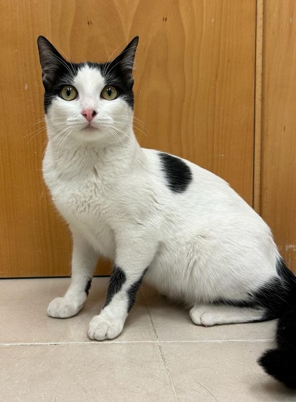 <h3 style="color:#005b98"> Fotografía </h3>