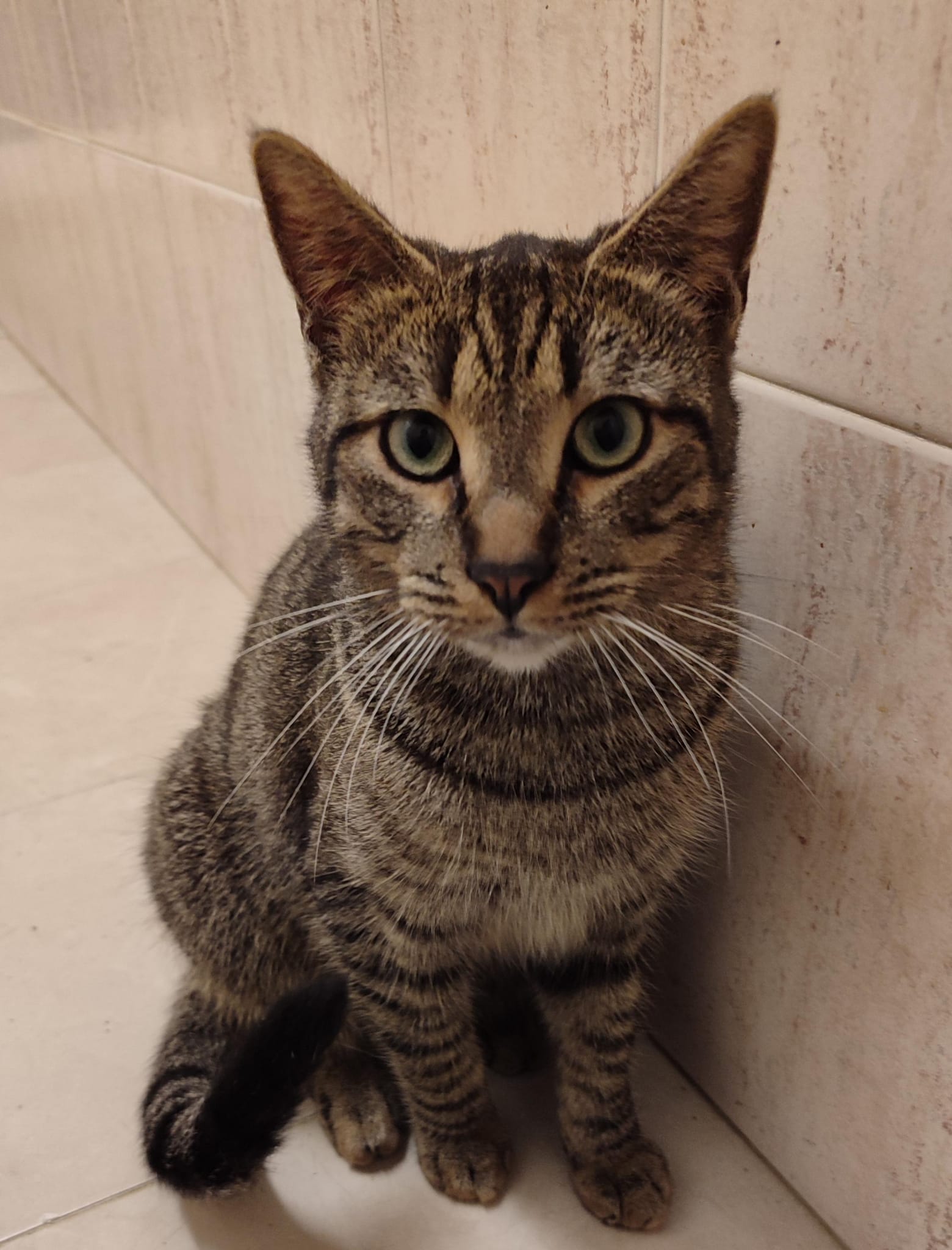 <h3 style="color:#005b98"> Fotografía </h3>