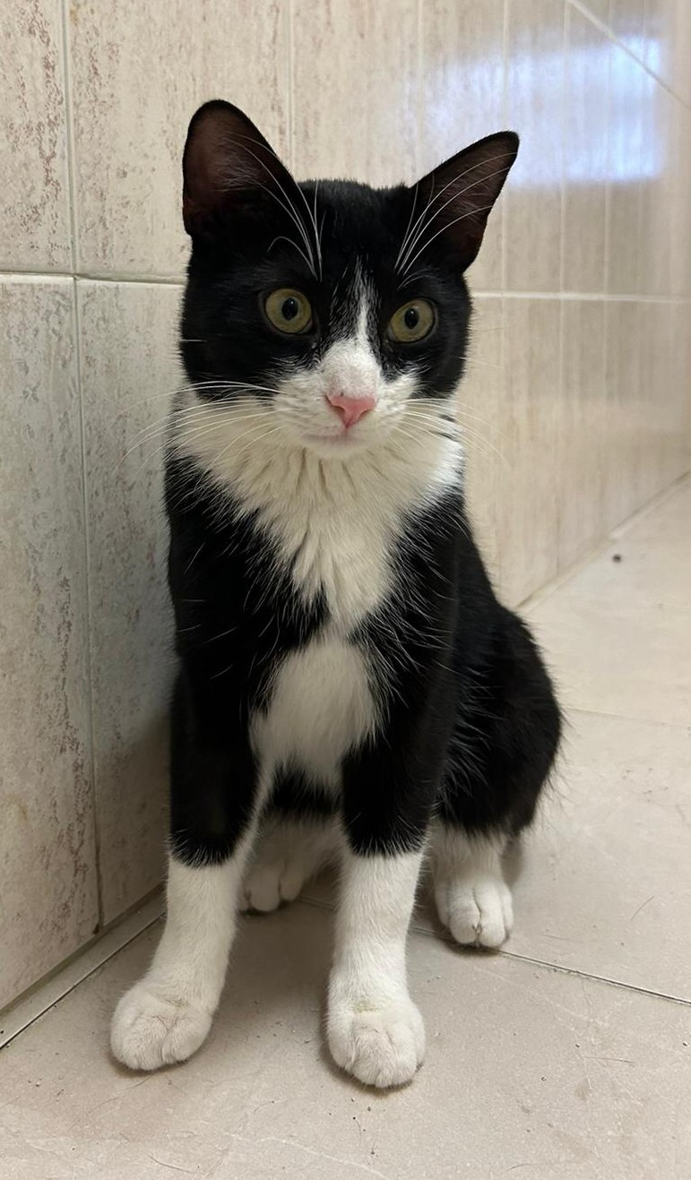 <h3 style="color:#005b98"> Fotografía </h3>