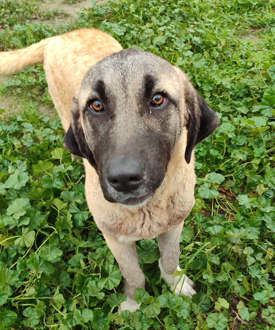 <h3 style="color:#005b98"> Fotografía </h3>