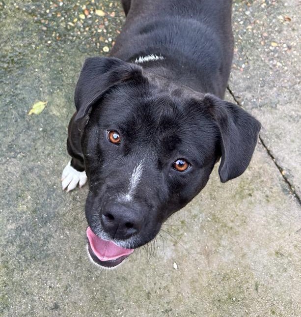 <h3 style="color:#005b98"> Fotografía </h3>