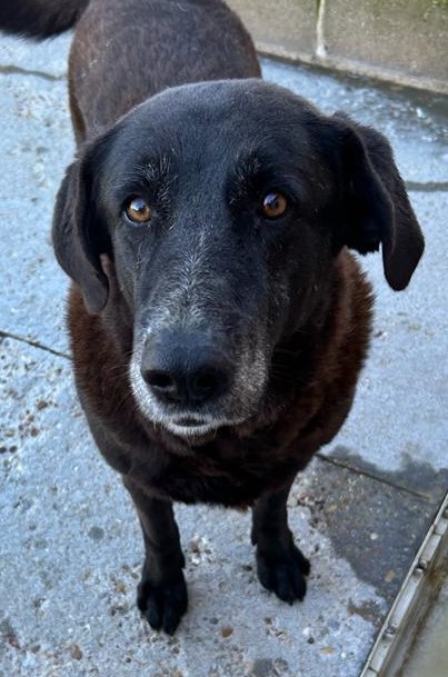 <h3 style="color:#005b98"> Fotografía </h3>