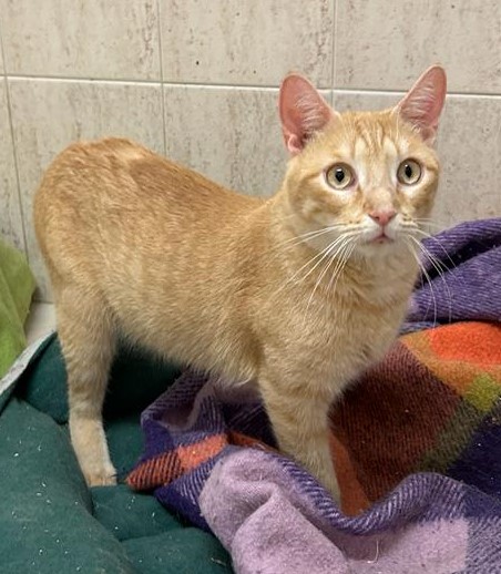 <h3 style="color:#005b98"> Fotografía </h3>