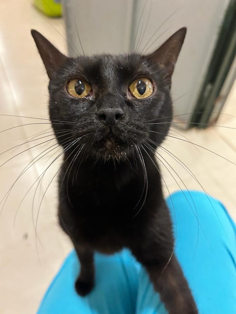 <h3 style="color:#005b98"> Fotografía </h3>