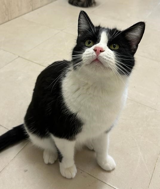 <h3 style="color:#005b98"> Fotografía </h3>