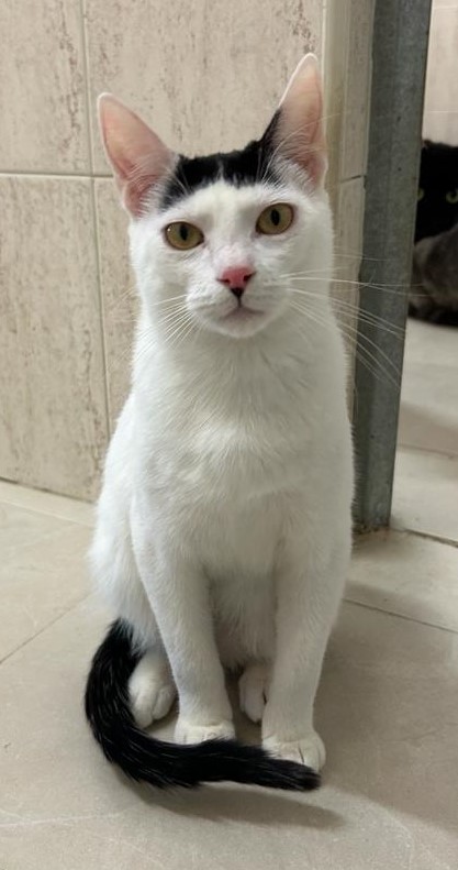 <h3 style="color:#005b98"> Fotografía </h3>