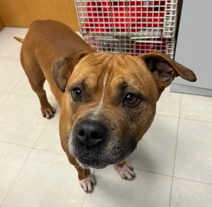 <h3 style="color:#005b98"> Fotografía </h3>