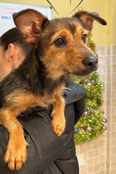 <h3 style="color:#005b98"> Fotografía </h3>