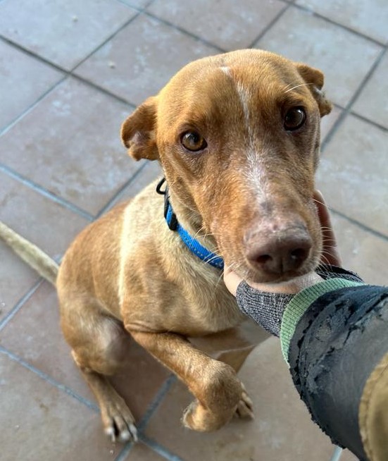 <h3 style="color:#005b98"> Fotografía </h3>