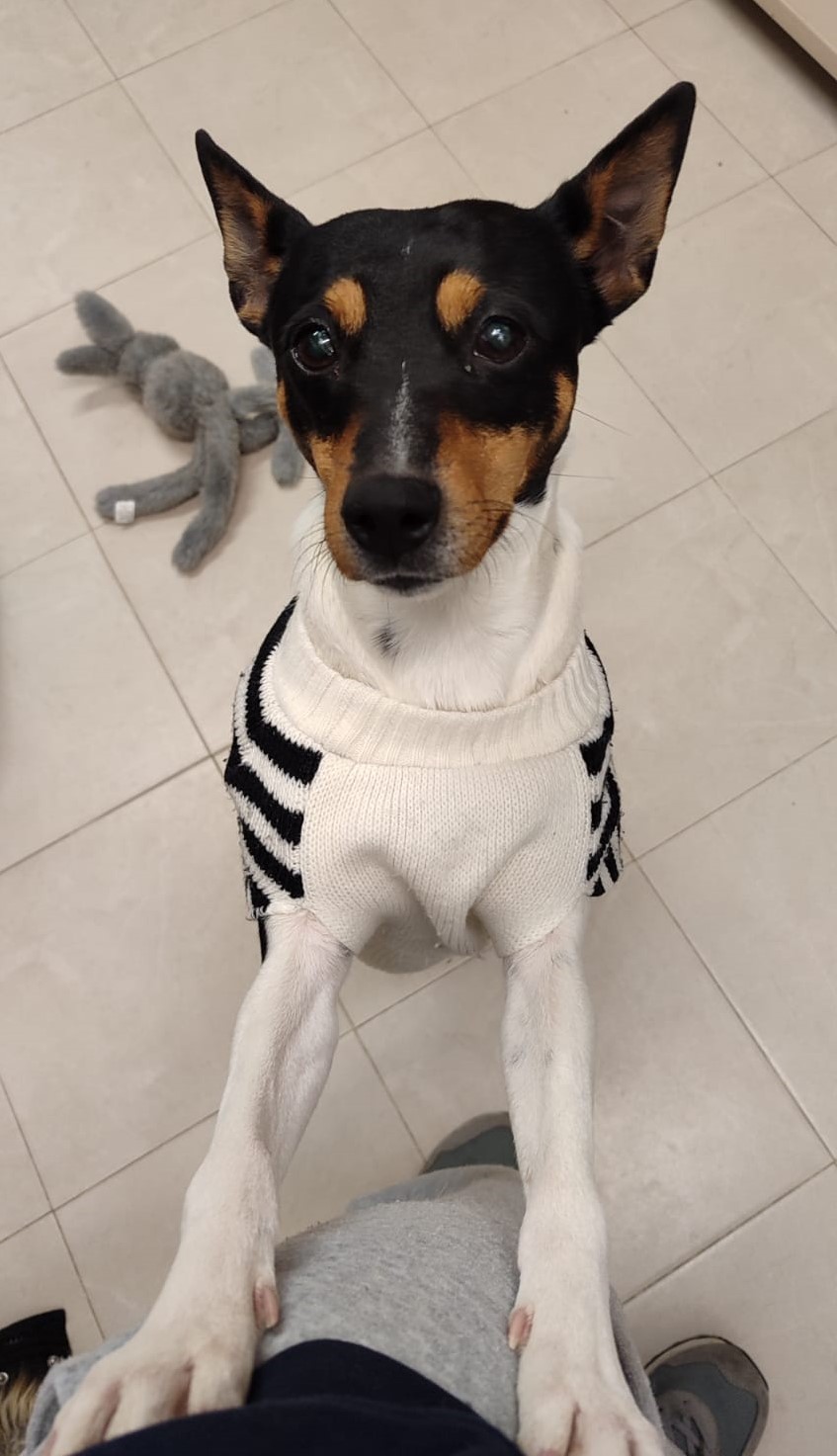 <h3 style="color:#005b98"> Fotografía </h3>