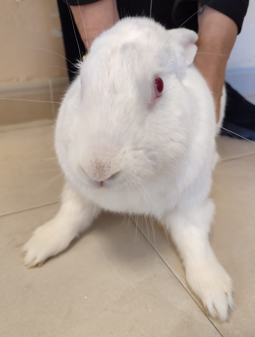 <h3 style="color:#005b98"> Fotografía </h3>