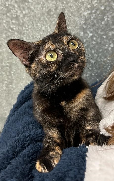 <h3 style="color:#005b98"> Fotografía </h3>