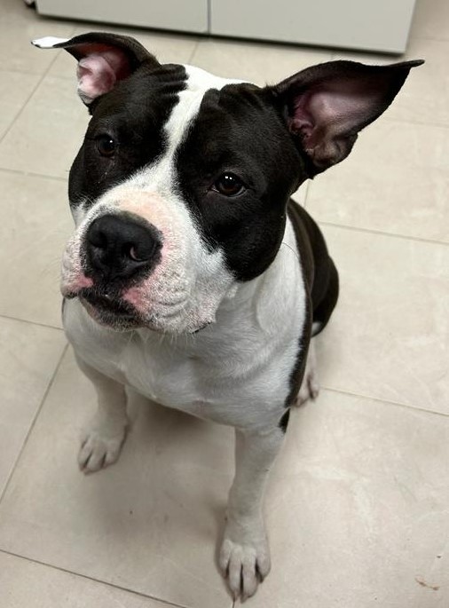 <h3 style="color:#005b98"> Fotografía </h3>