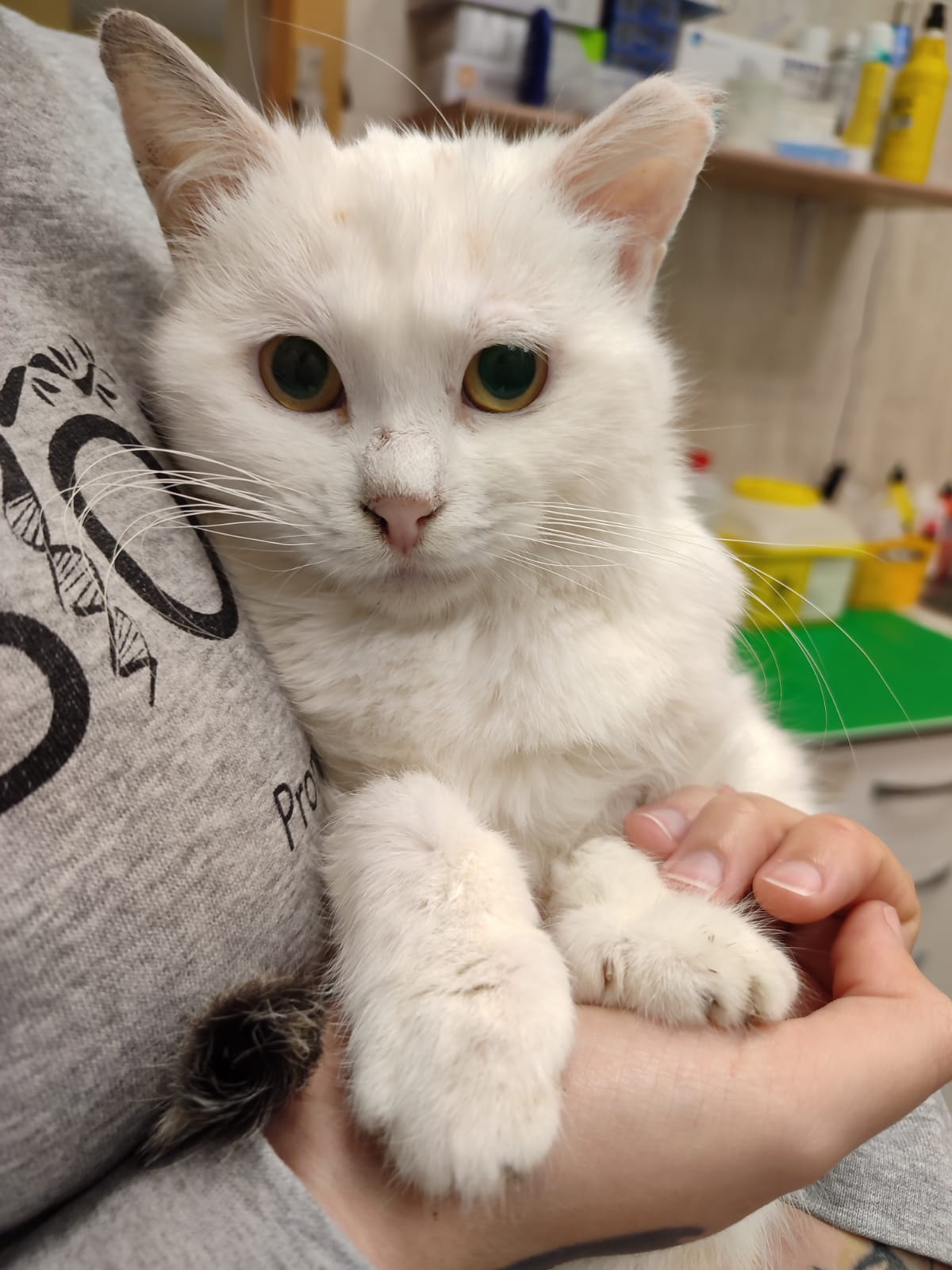 <h3 style="color:#005b98"> Fotografía </h3>