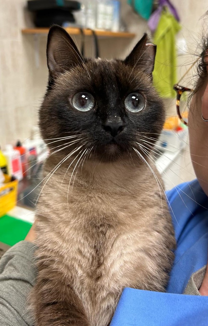 <h3 style="color:#005b98"> Fotografía </h3>