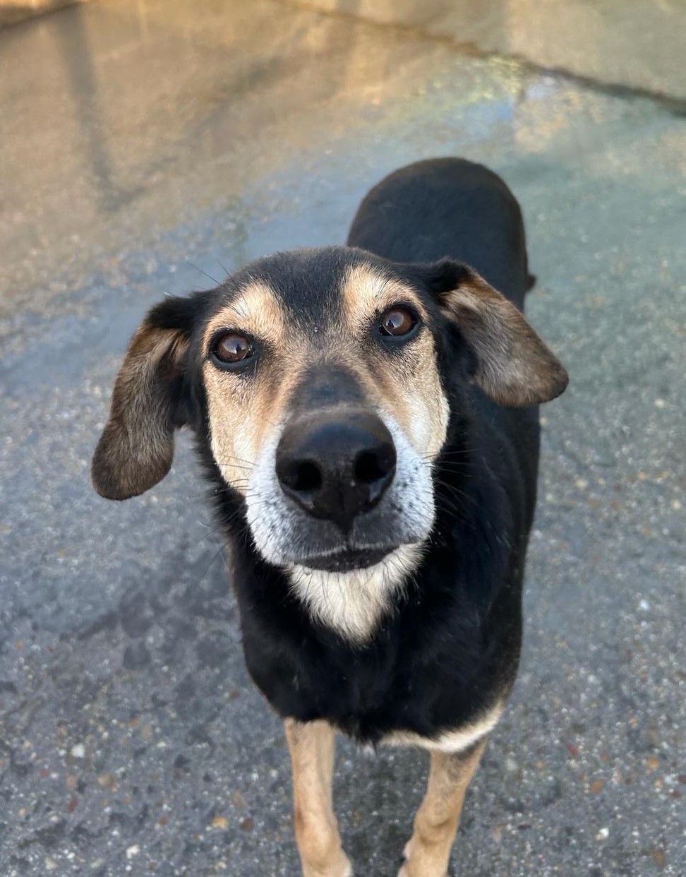 Fotografía Principal