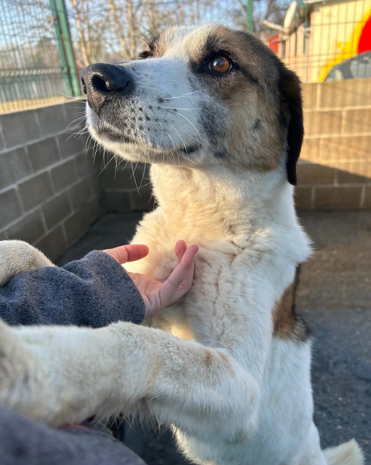 <h3 style="color:#005b98"> Fotografía </h3>