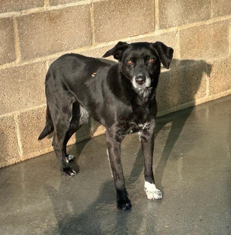 <h3 style="color:#005b98"> Fotografía </h3>