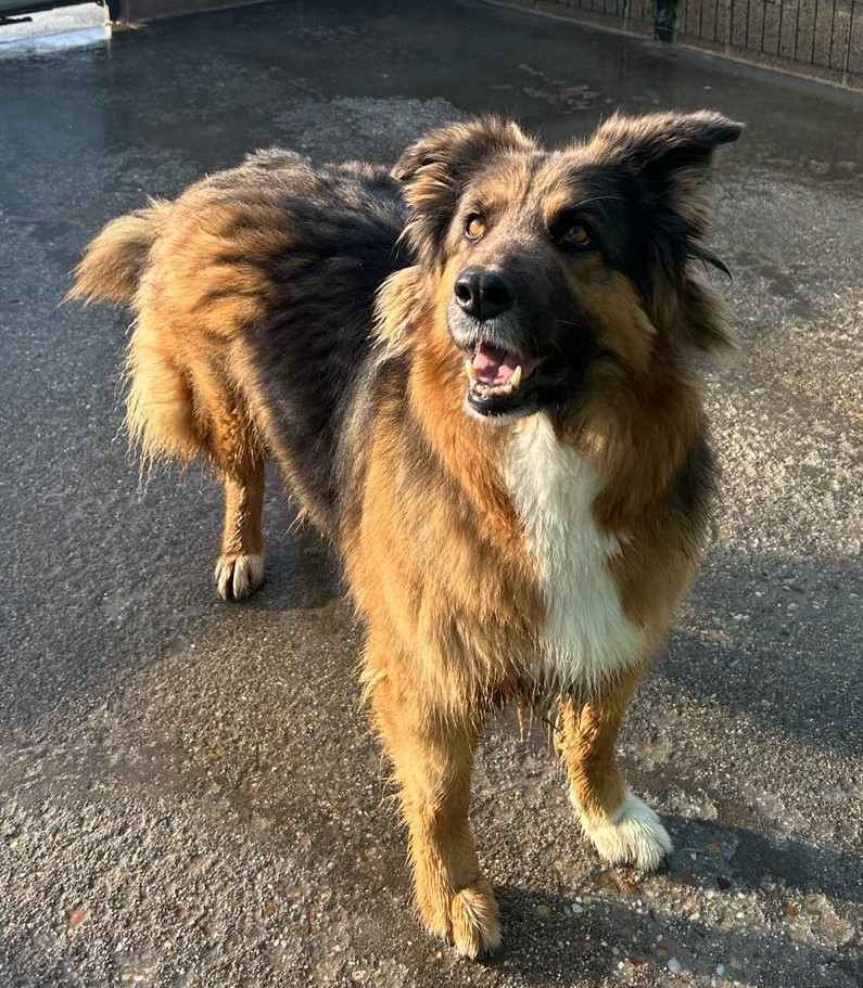 Fotografía Principal