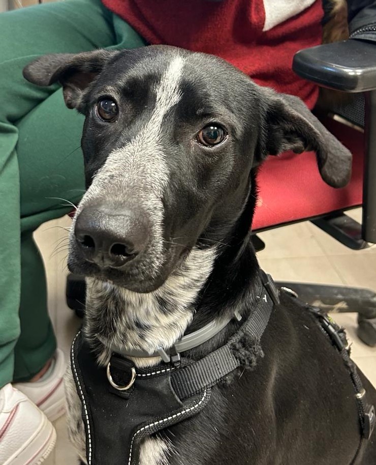 Fotografía Principal