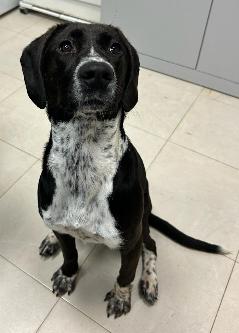 <h3 style="color:#005b98"> Fotografía </h3>