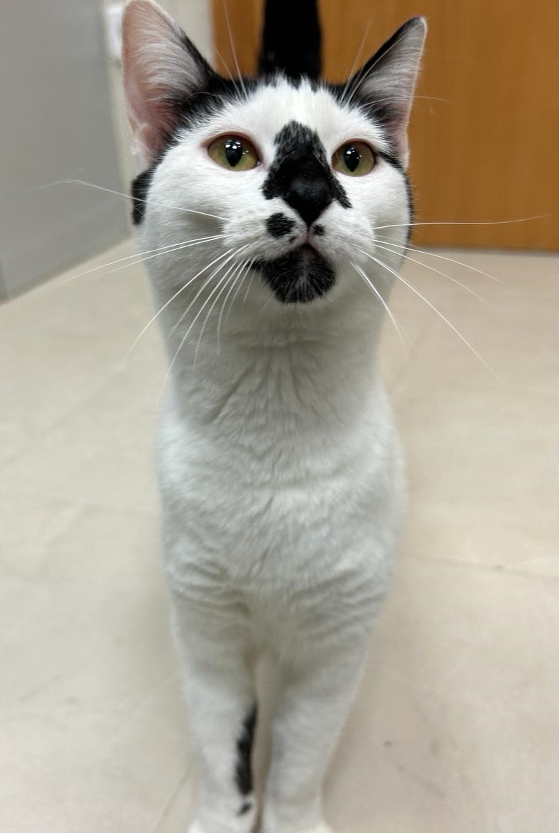 Fotografía Principal