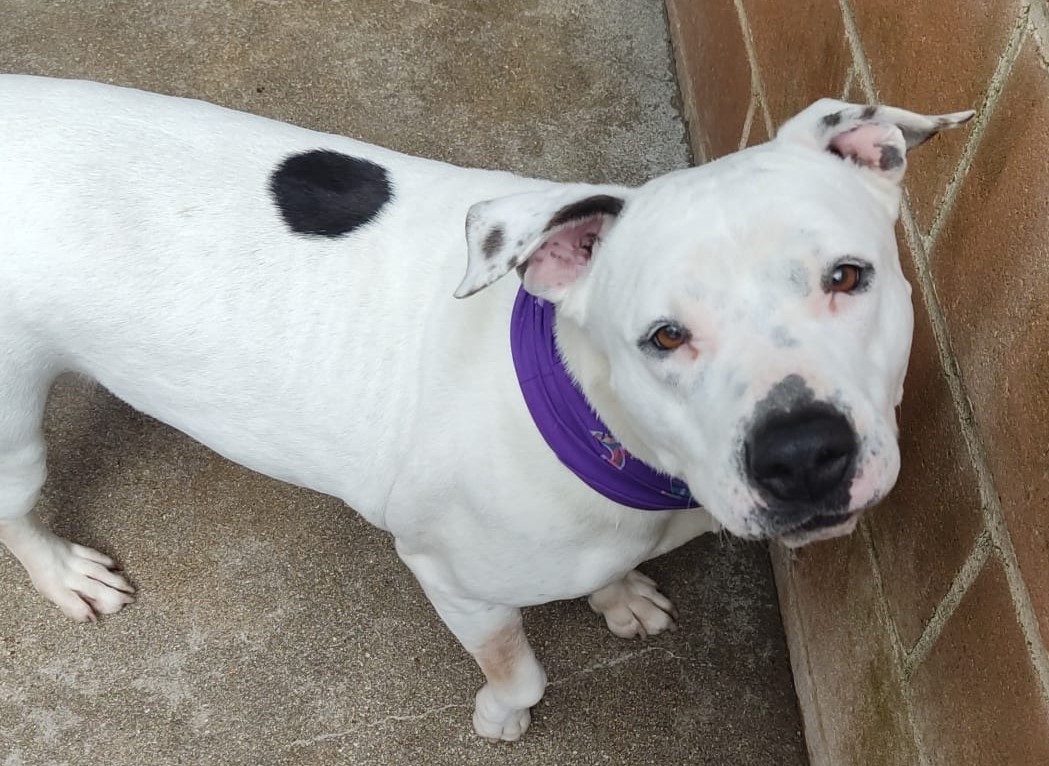 <h3 style="color:#005b98"> Fotografía </h3>