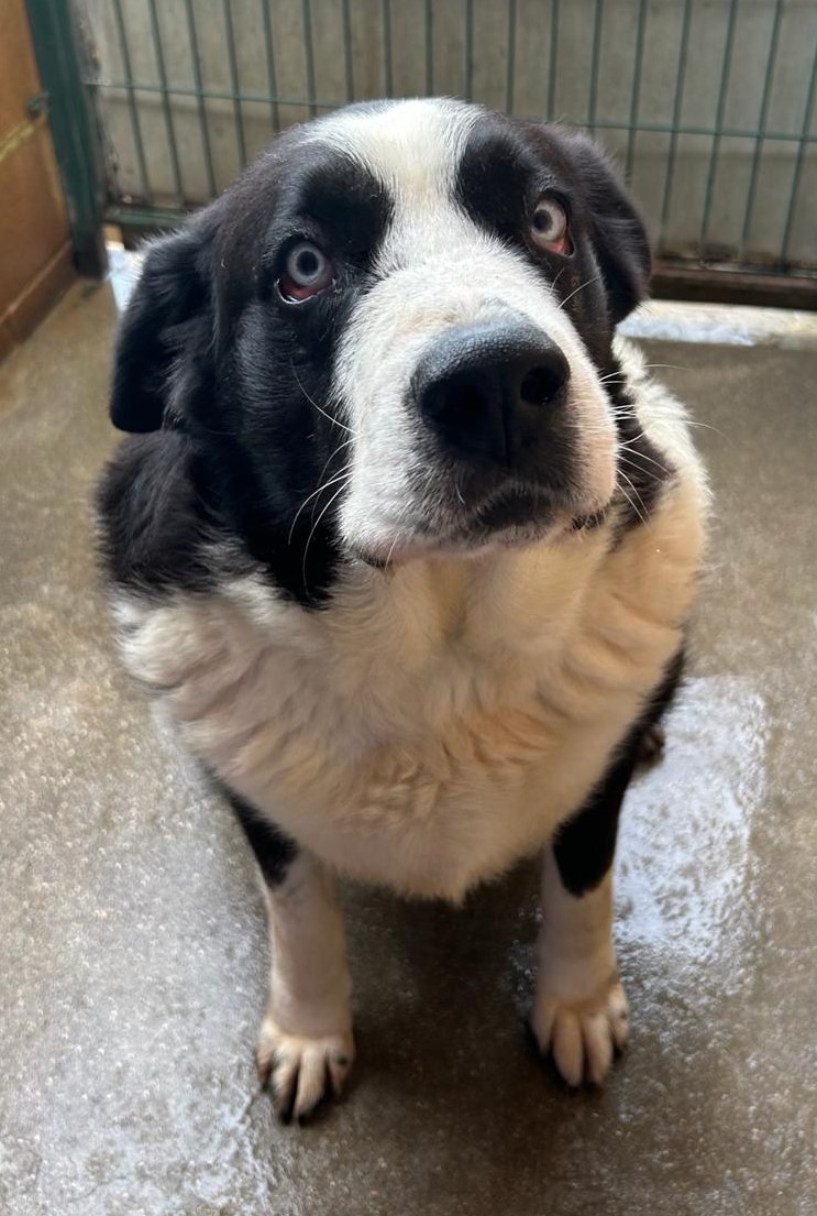 Fotografía Principal