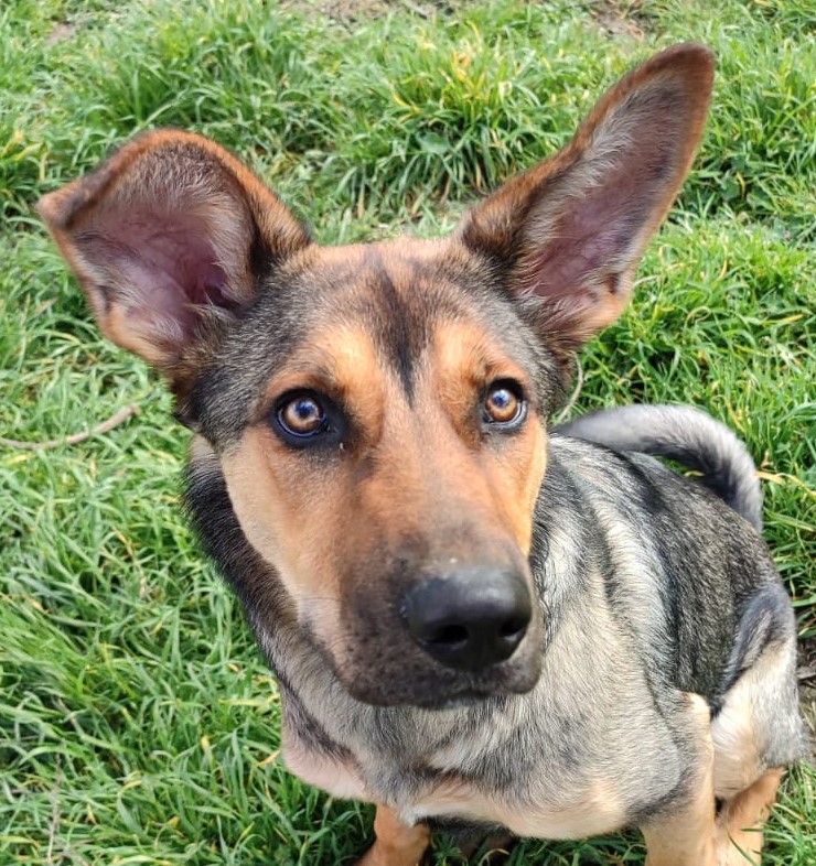 Fotografía Principal