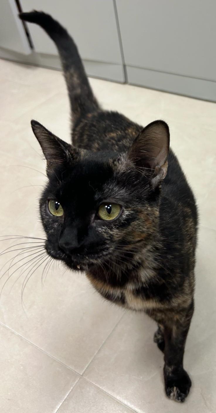 Fotografía Principal