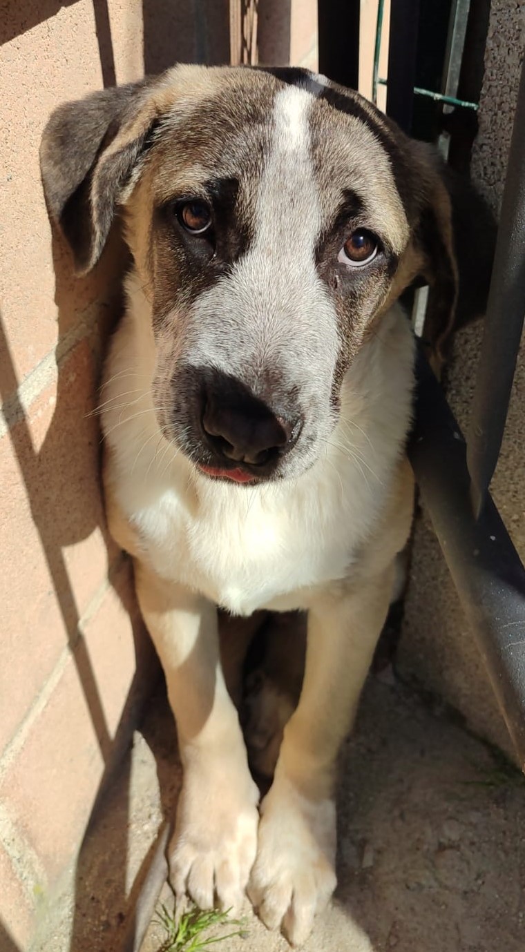 Fotografía Principal