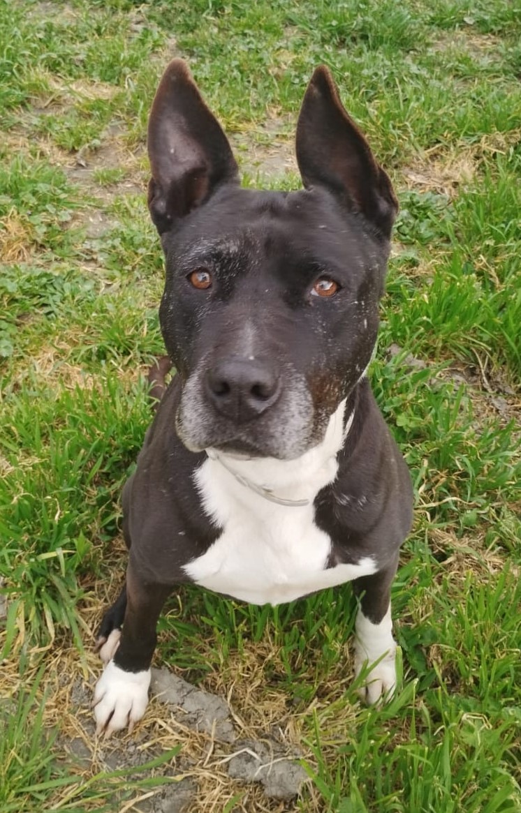 <h3 style="color:#005b98"> Fotografía </h3>